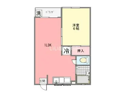 アベニュー大沢(1LDK/2階)の間取り写真