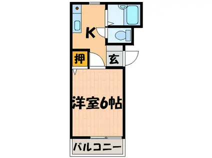 グランシャリオ藍住(1K/3階)の間取り写真