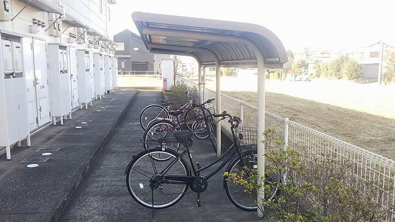 れんげそう