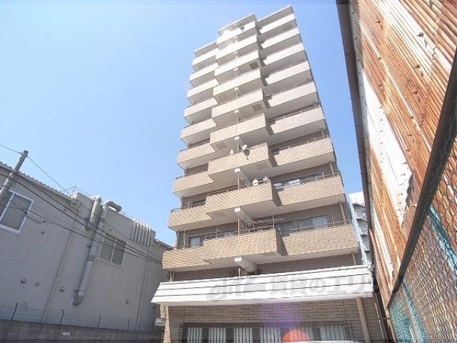 グレース11