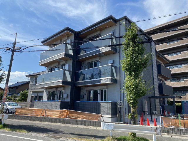 GRANDHEIGHTS VIOLET