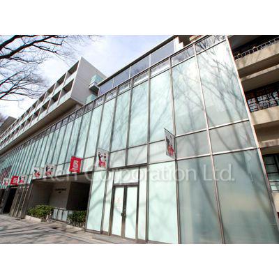 表参道ヒルズゼルコバテラス