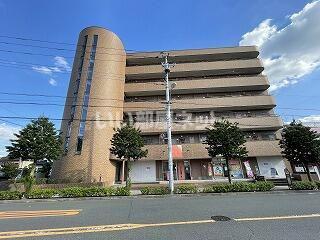 ビューシャトル