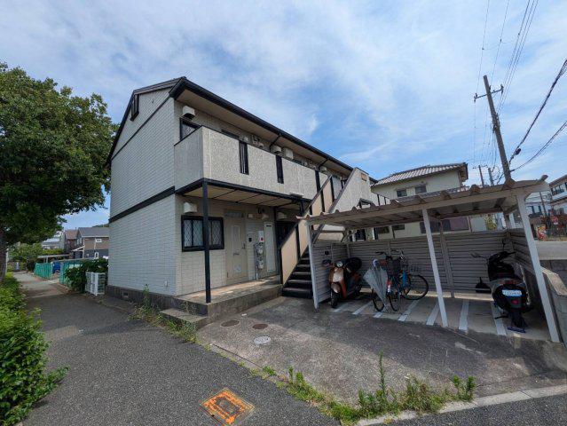 シングルプラン