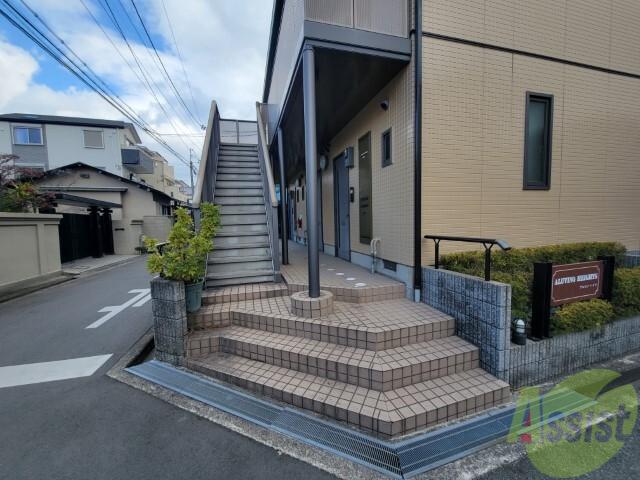 アルビノハイツ