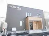 SAKURA239