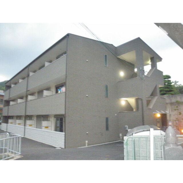 アンプルールフェール樹
