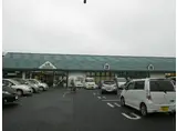 シティハイム アキヤマ