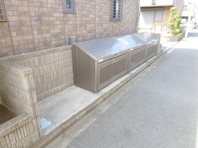 花水木B