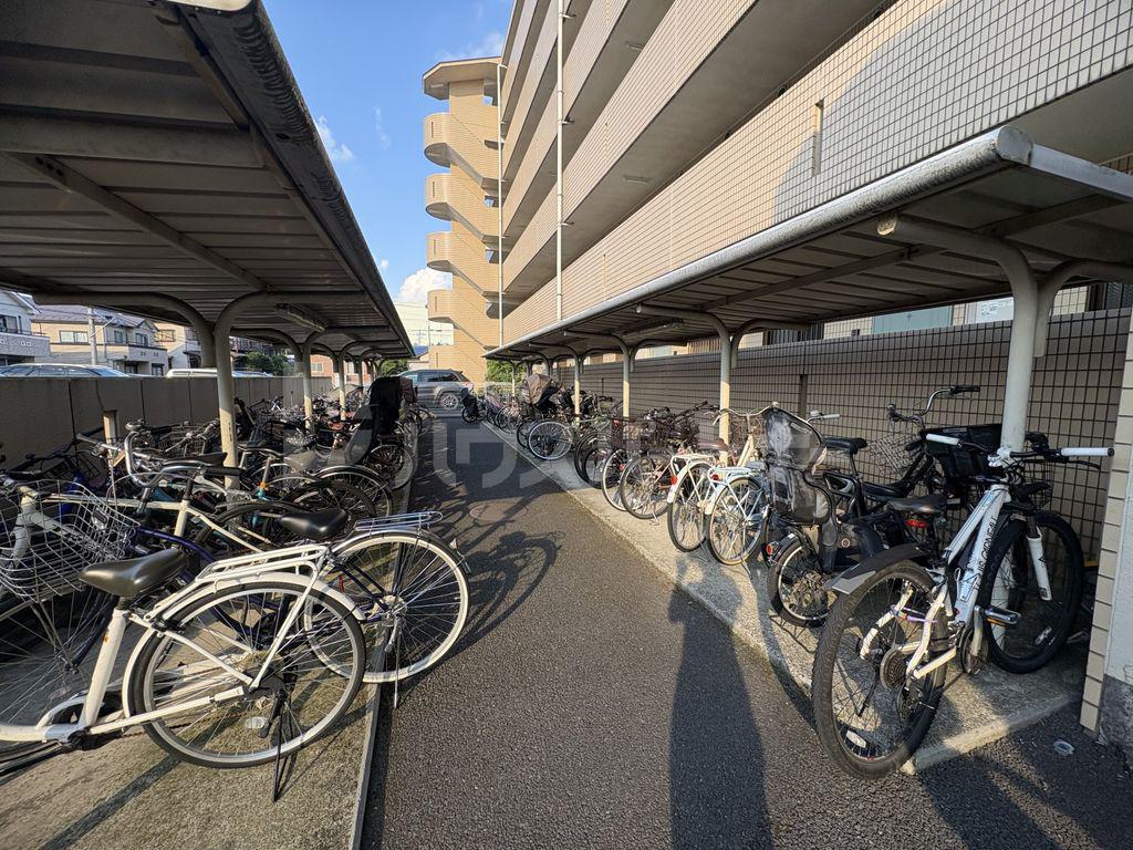 シャンボール