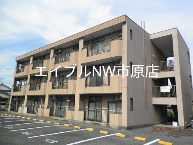 コンドミニアム