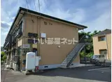 ディアスT・N