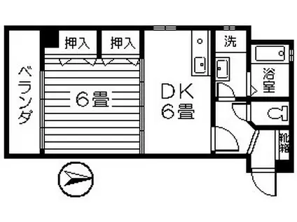 ライブARATA(1DK/6階)の間取り写真