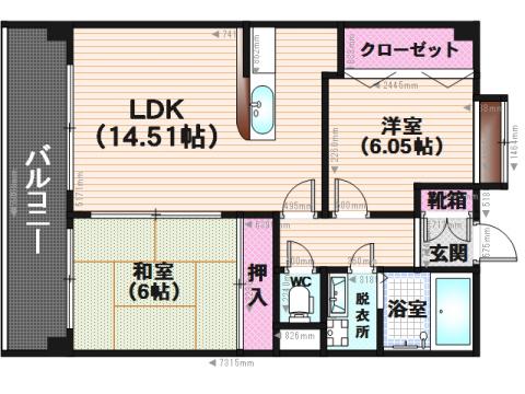 プロシード曰佐(2LDK/1階)の間取り写真
