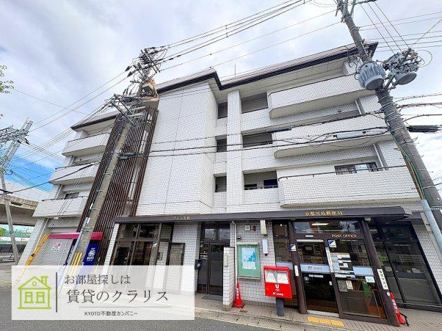 グレース桂