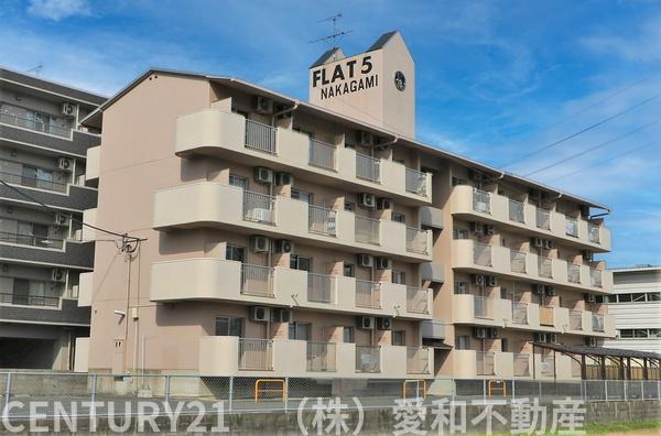 FLAT5仲上