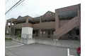 チェリーブロッサム・ガーデン