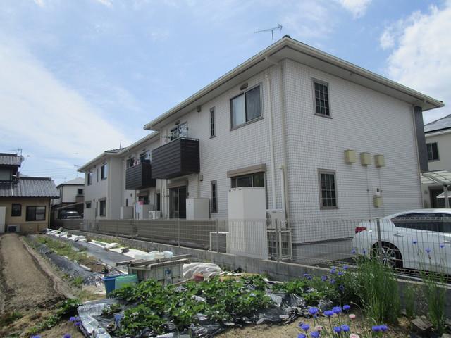 エクセルコートⅡ