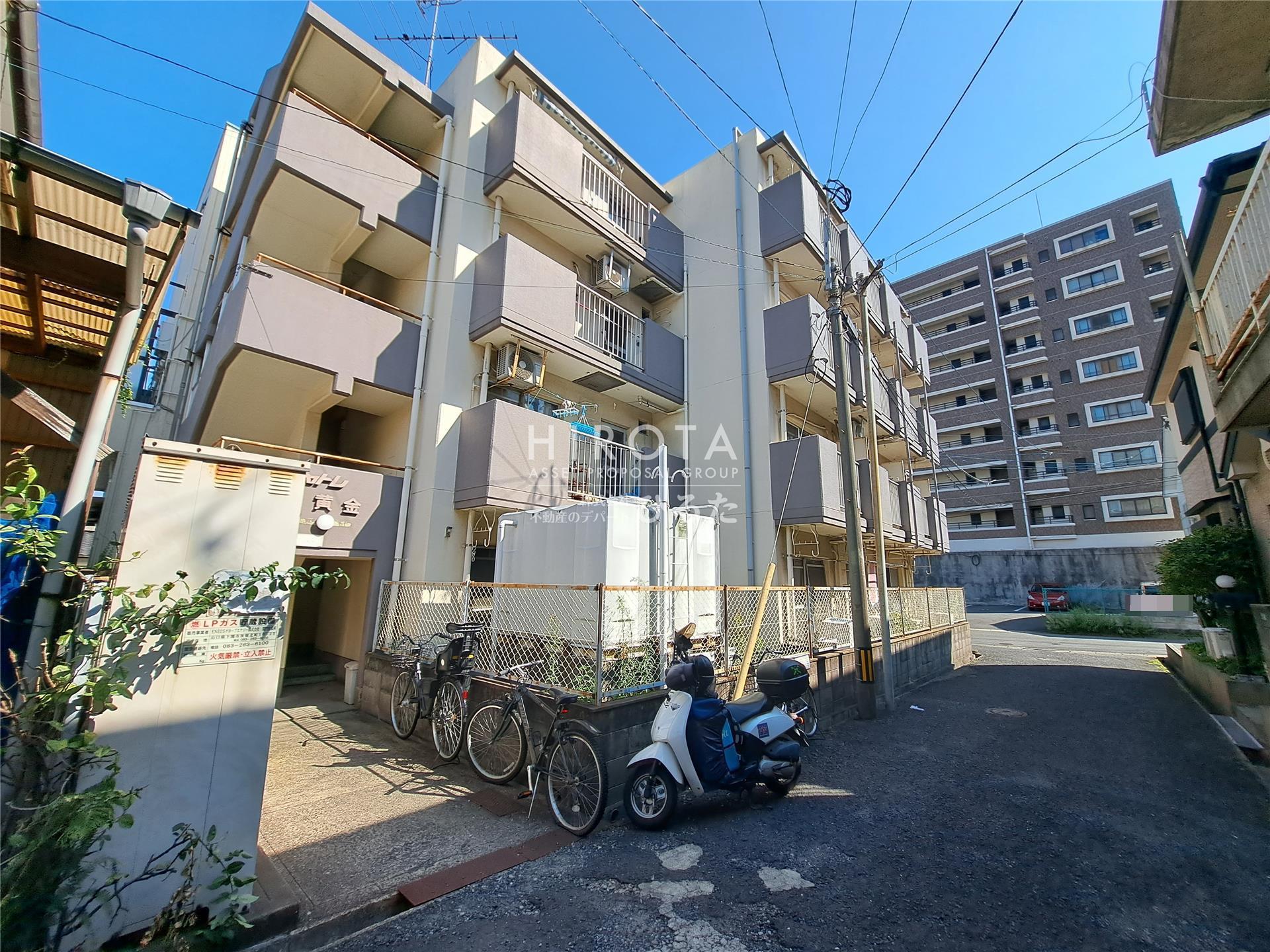 シャトレ黄金