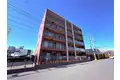埼玉県八潮市の建物