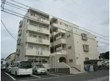 ストーク横地