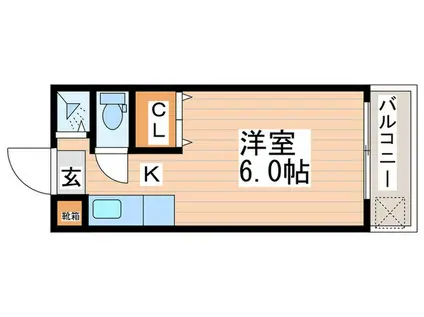 菊井コーポ(1K/3階)の間取り写真