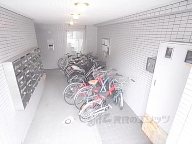 ホワイトクレステ