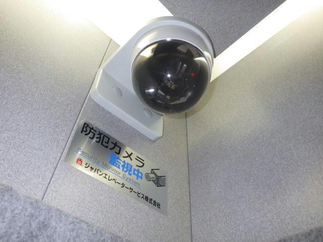 テラセル48