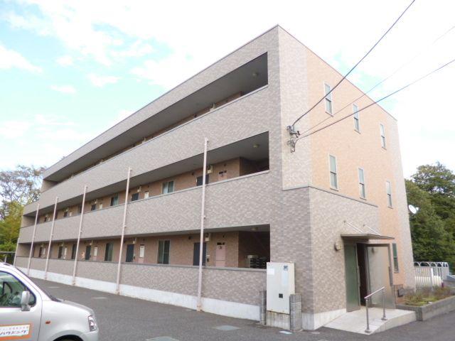 アンプルールフェールドリーミ