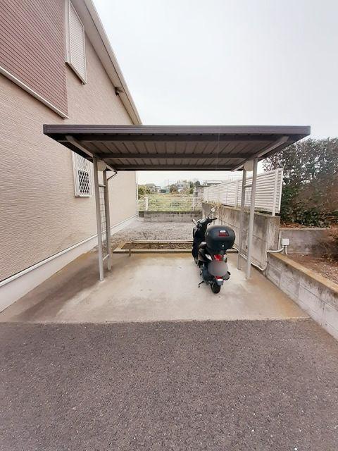 ダンデライオンB