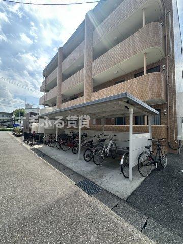 サルビア