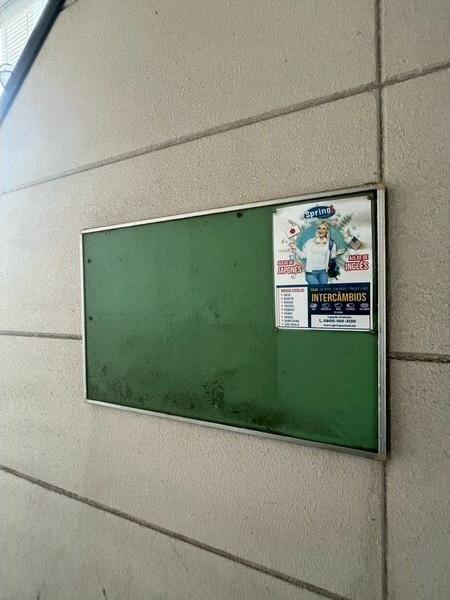 グリーンバード3