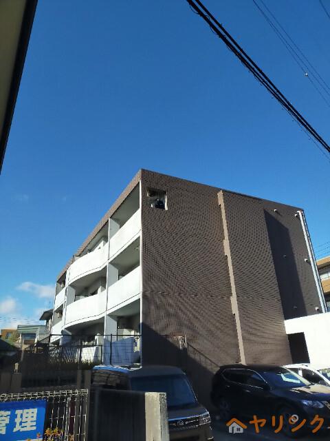 ウェルトータス