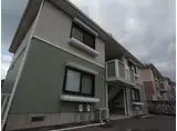 サザン五葉