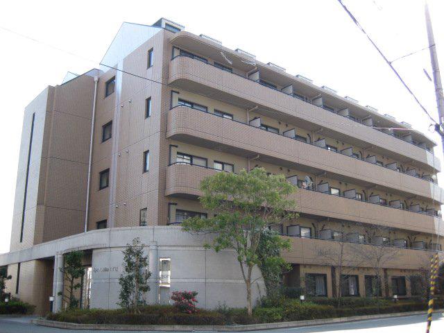 アペックス・パラツィーナくずは