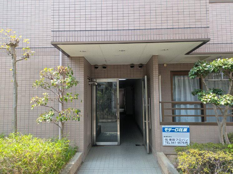 モデーロ花栗
