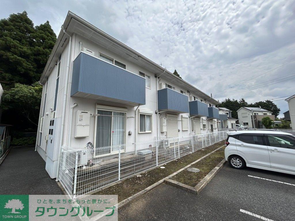 エムティーパイン
