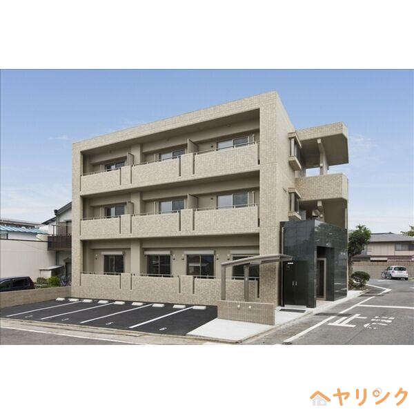CHERRY SUITE