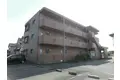 マンションやどかり