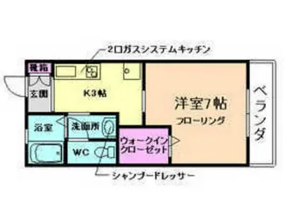 ベルメゾン(1K/1階)の間取り写真