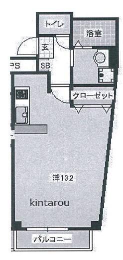 金太郎ヒルズV(1K/4階)の間取り写真