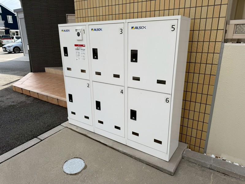 フィレールデュトラジャVII