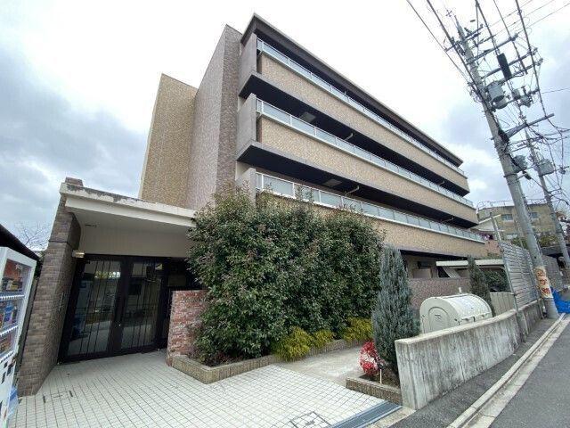 プラシド七瀬川