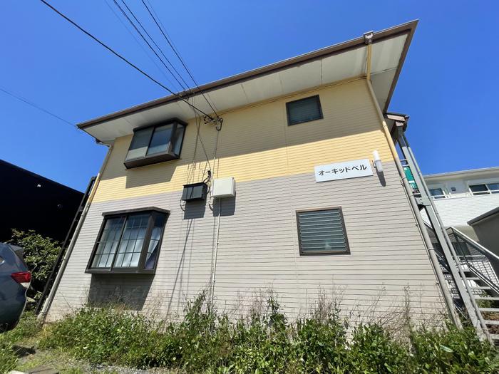 オーキッドベル