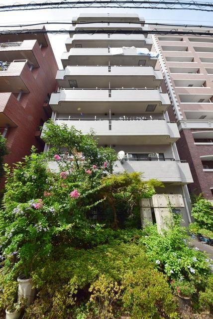 ルシエール根岸