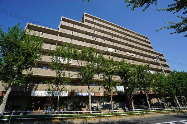 グラシュー森