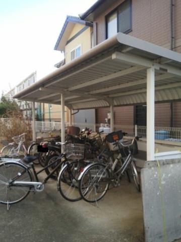 シャトレ純