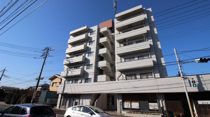 ヴェルデ流山(1DK/6階)