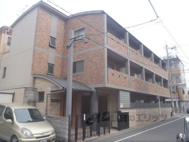 グロリアス桂