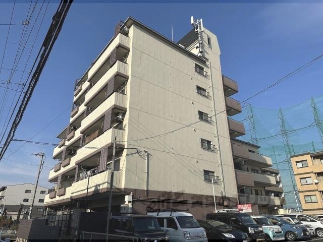 サンフローラ桂